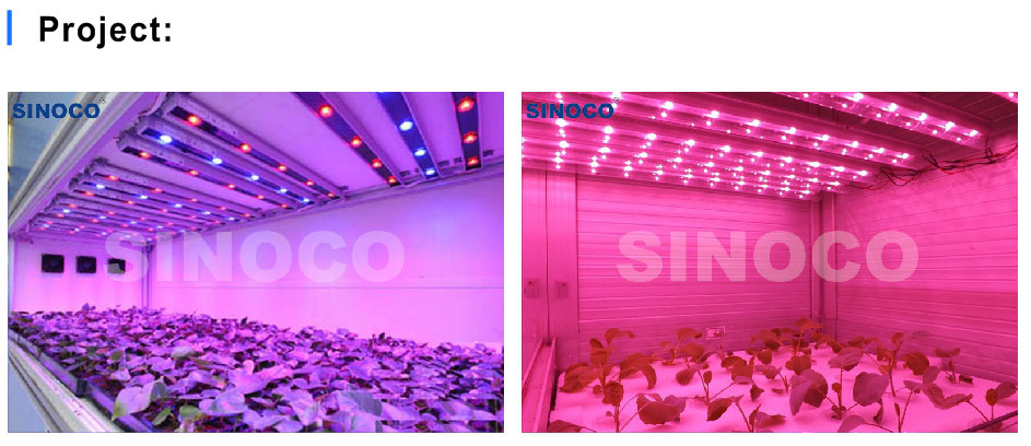 Best Apollo G600 LED Grow Light - SHENZHEN SINOCO