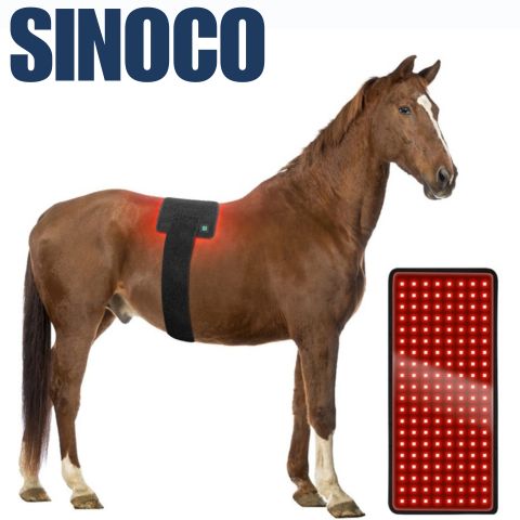 horse red light therapy