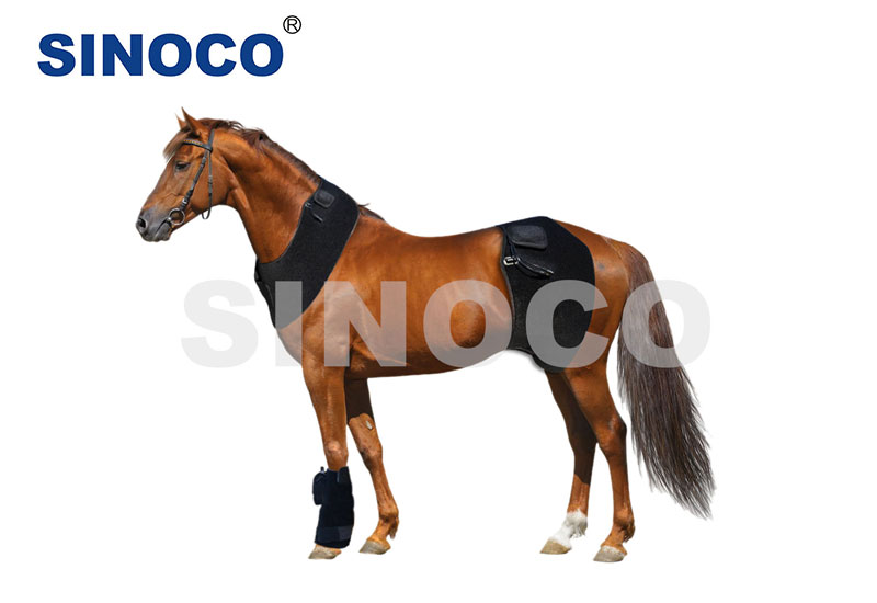 Light Therapy Equipment